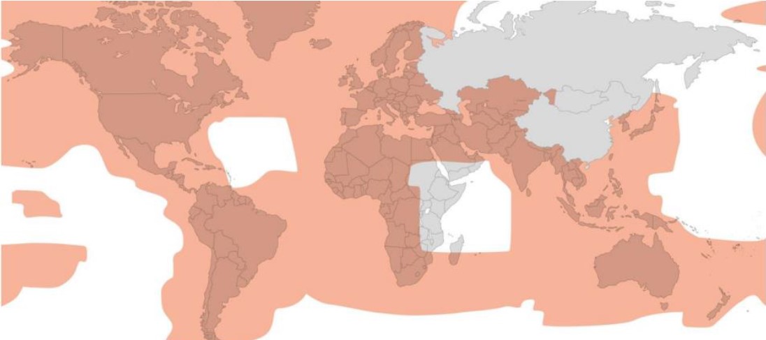 OneWeb 2025 global coverage